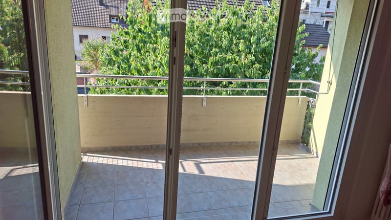 4,5 Zimmer Wohnung (5)