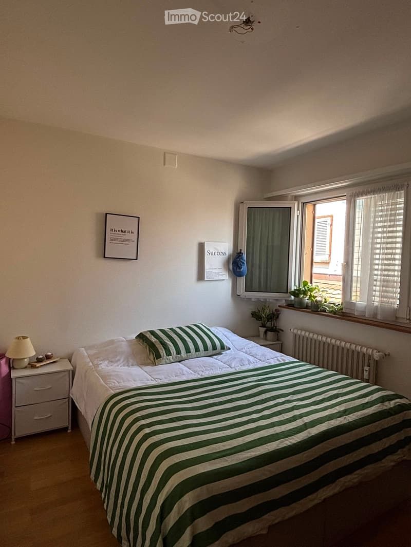 Room in shared apartment with roof terrace and lake view (2)
