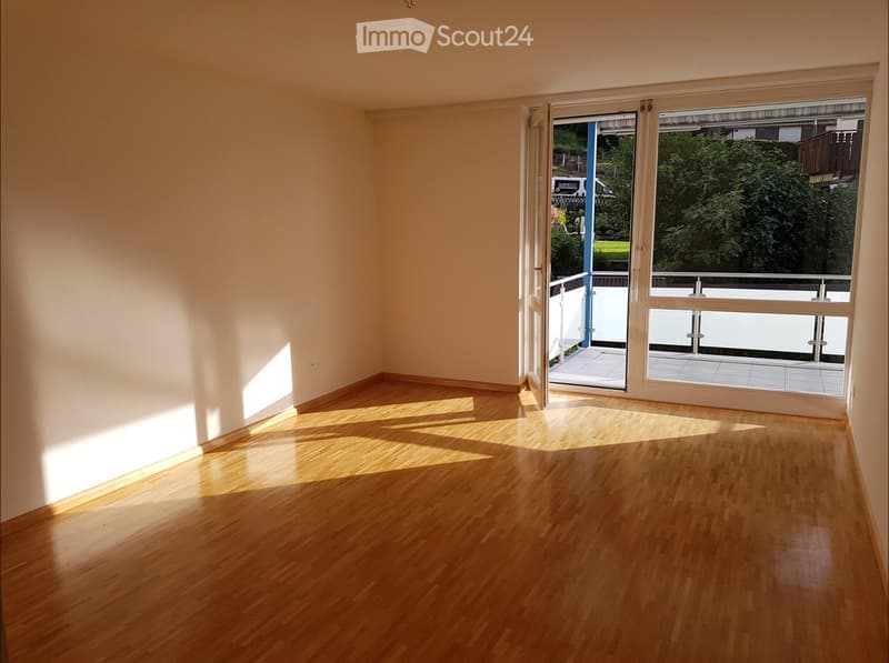 Appartement ensoleillé et spacieux de 4,5 pièces à Bettingen/Basel-Stadt (3)