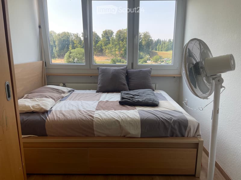 Chambre en colocation (1)