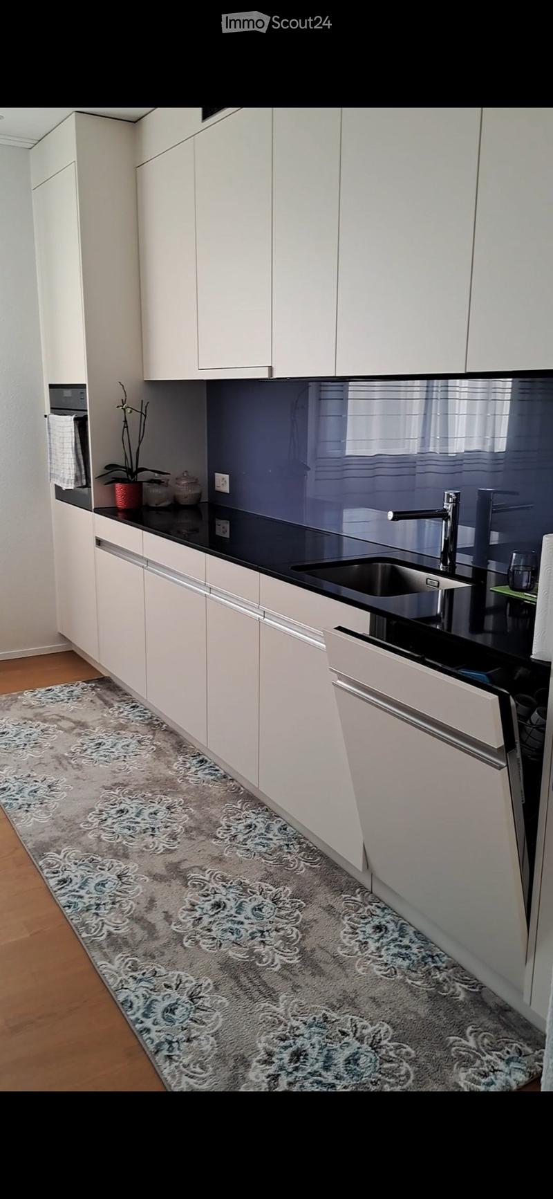 Modern 2.5 room apartment 74m in the office (2)