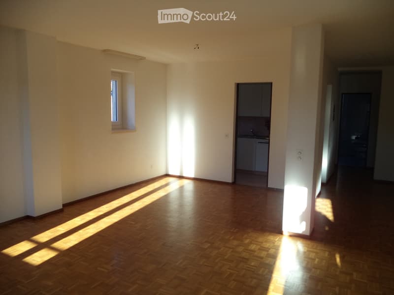 AFFITTASI APPARTAMENTO 3.5 LOCALI (3)