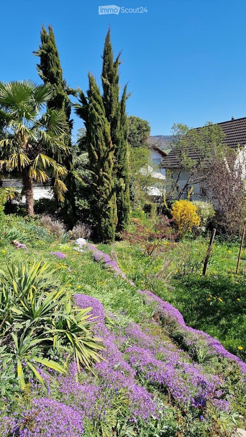 Casa dei sogni con ambiente mediterraneo e vista panoramica (4)