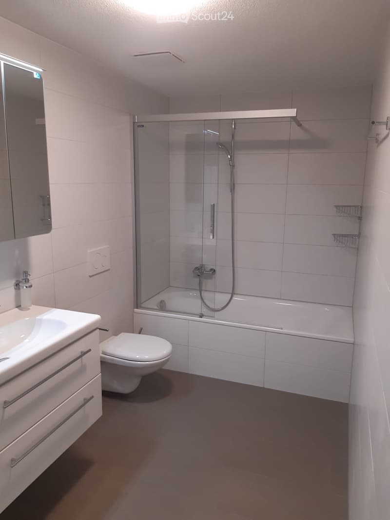 Moderne, kleine 2-Zimmer Wohnung in Rothenthurm zu vermieten (3)