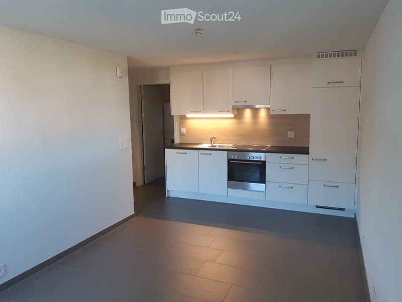 Moderne, kleine 2-Zimmer Wohnung in Rothenthurm zu vermieten (1)