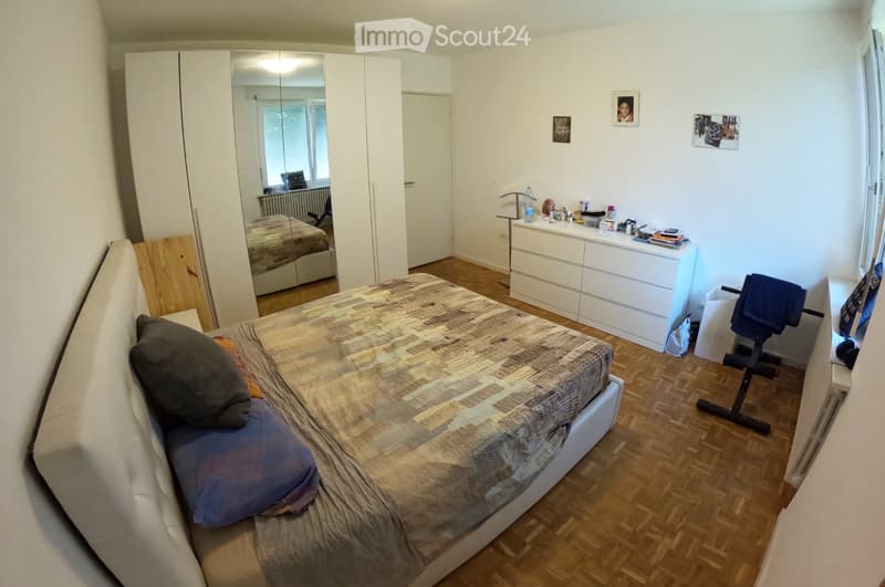 Renting a large room in an independent house with a garden (1)