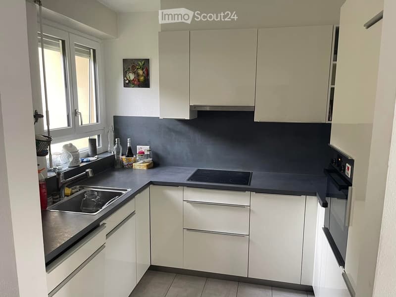 Renting a large room in an independent house with a garden (3)