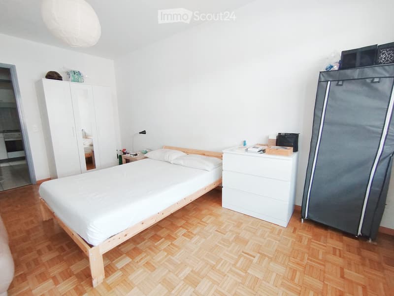 Sous-location 2.5 pièces à Lugano (Molino Nuovo) (4)