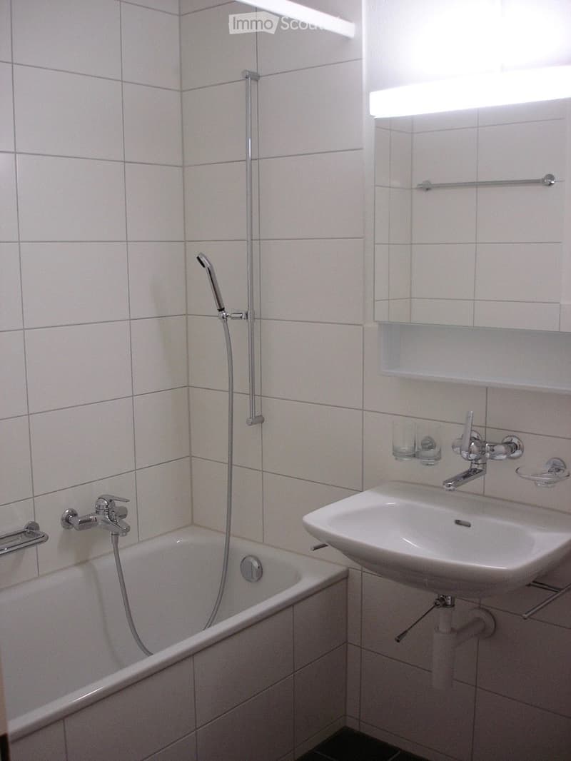Appartement 4.5 pièces à Thun-Gwatt (3)