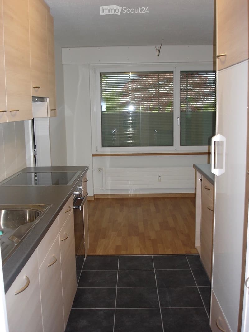 Appartement 4.5 pièces à Thun-Gwatt (2)
