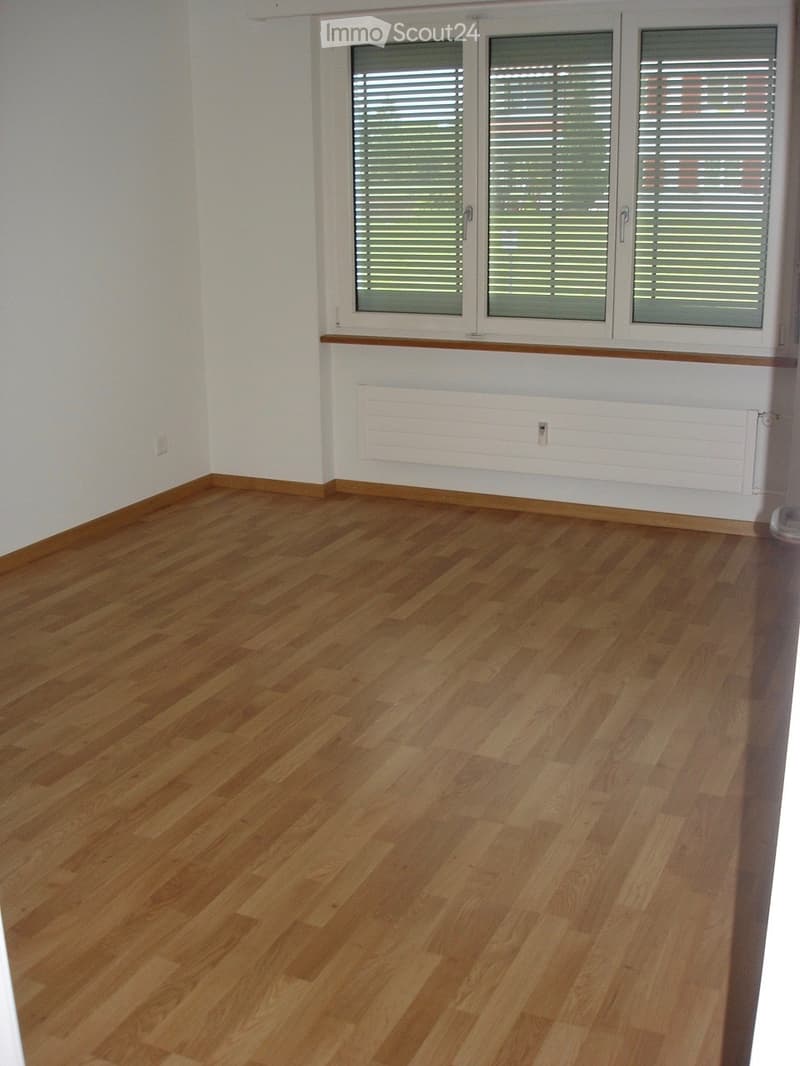 Appartement 4.5 pièces à Thun-Gwatt (5)
