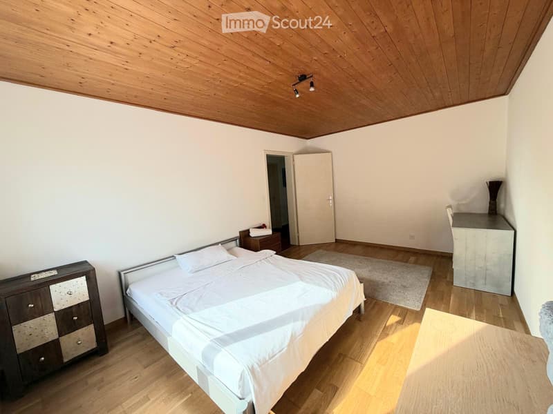 Large furnished house for rent (4)