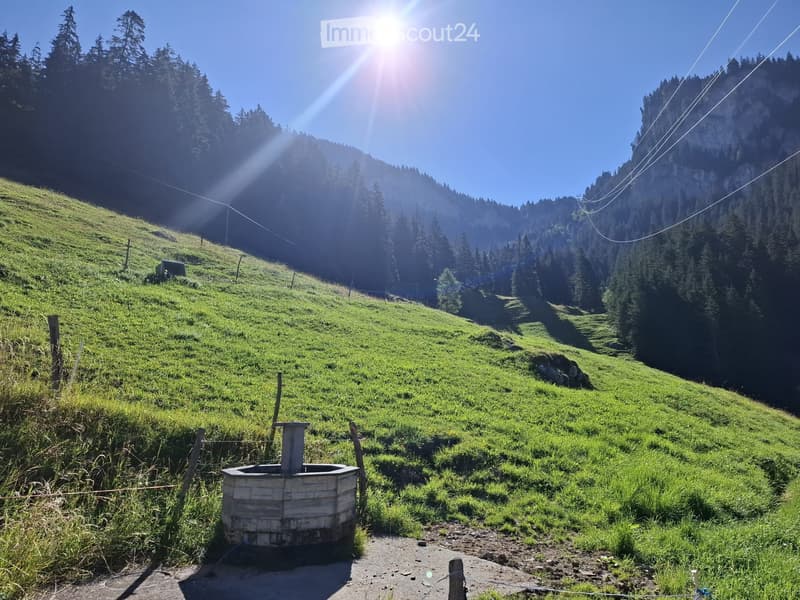 Casa di campagna in affitto (4)