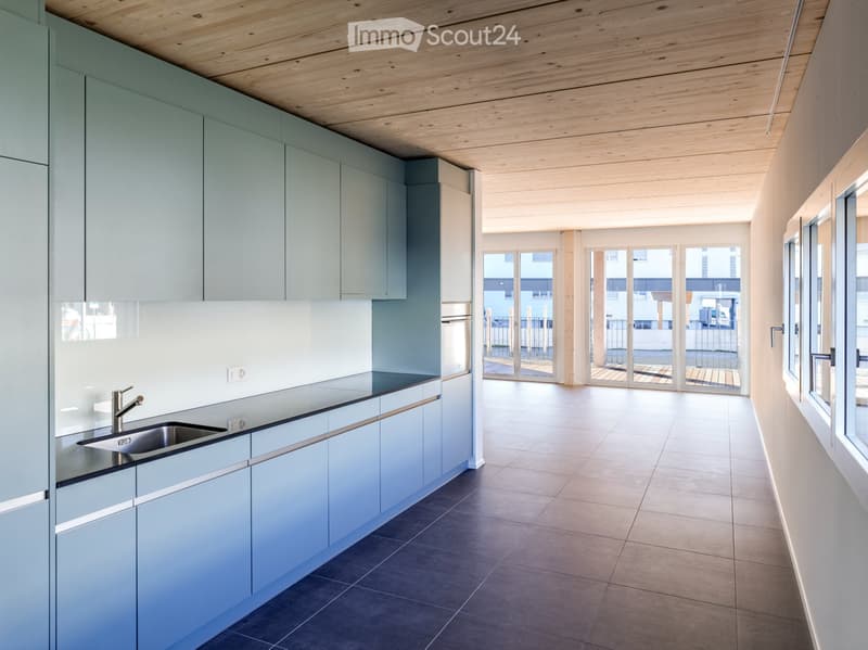 Appartamento 2.5 locali - Veranda, Terrazza, Posto giardino (1)