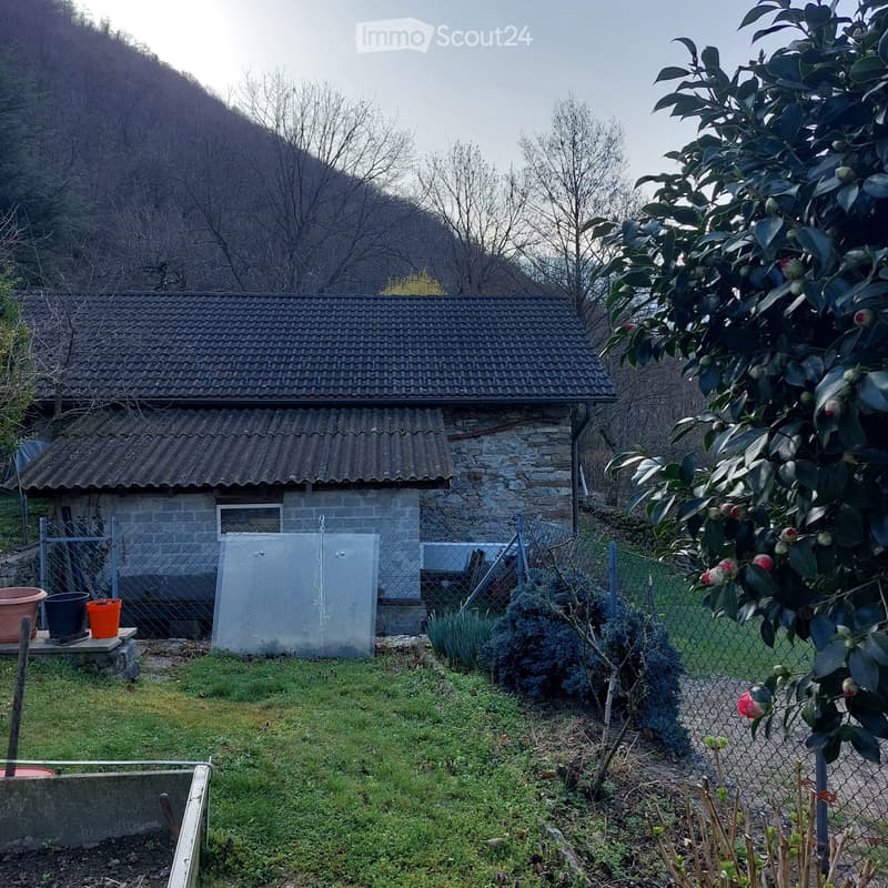 Stall mit landwirtschaftlichem Grundstück (4)