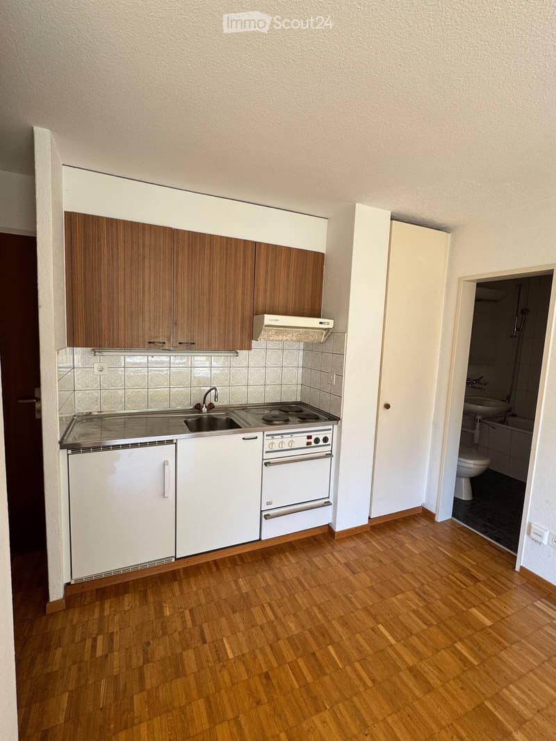 Appartamento Studio arredato vicino all'ETH Hönggerberg (4)