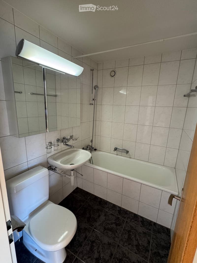 Appartamento Studio arredato vicino all'ETH Hönggerberg (5)