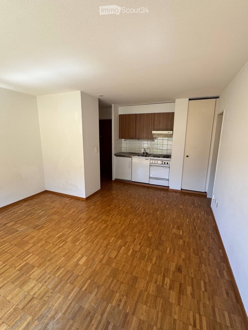 Appartamento Studio arredato vicino all'ETH Hönggerberg (2)
