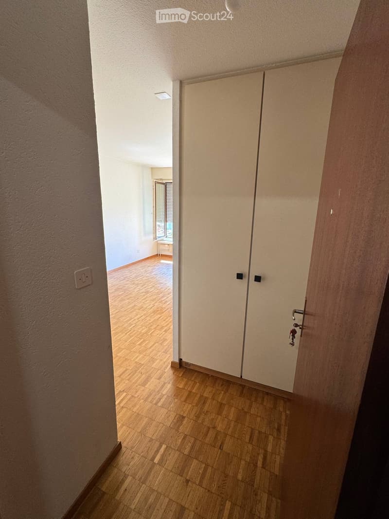 Appartamento Studio arredato vicino all'ETH Hönggerberg (3)