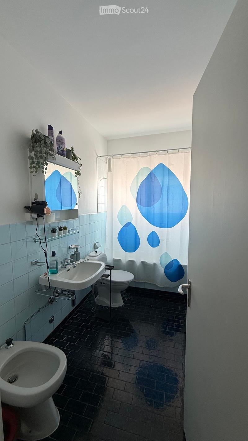 Ich suche einen Nachmieter 2.5 Lugano Molino Nuovo (3)