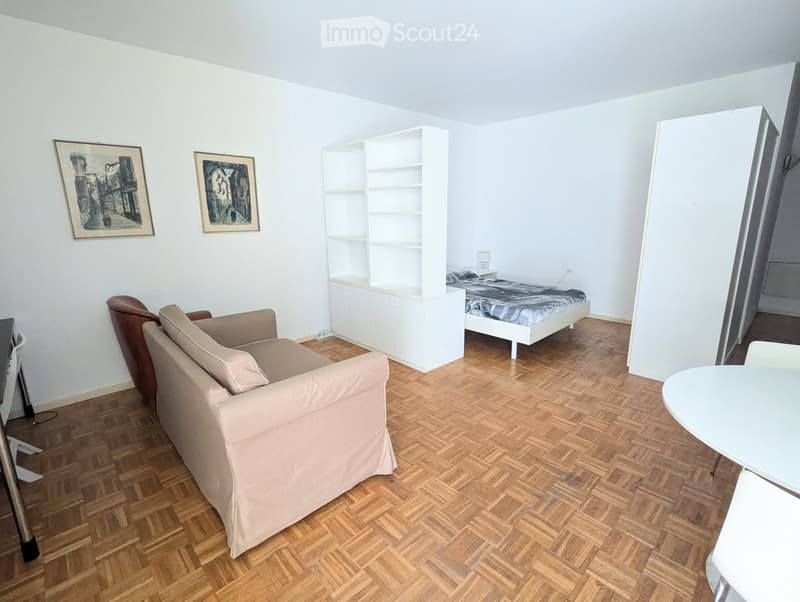Geräumiges 1.5-Zimmer-Wohnung in Lugano-Besso (1)