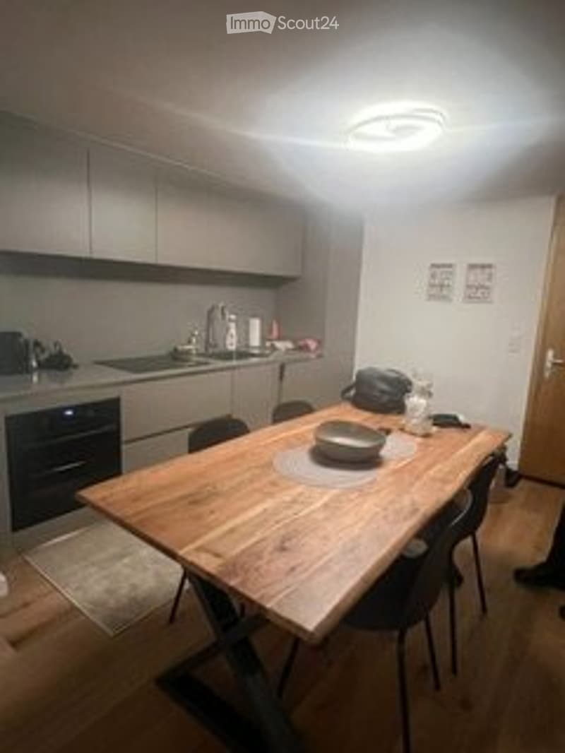 Vacation Apartment 4.5 Rooms - Airolo (7)