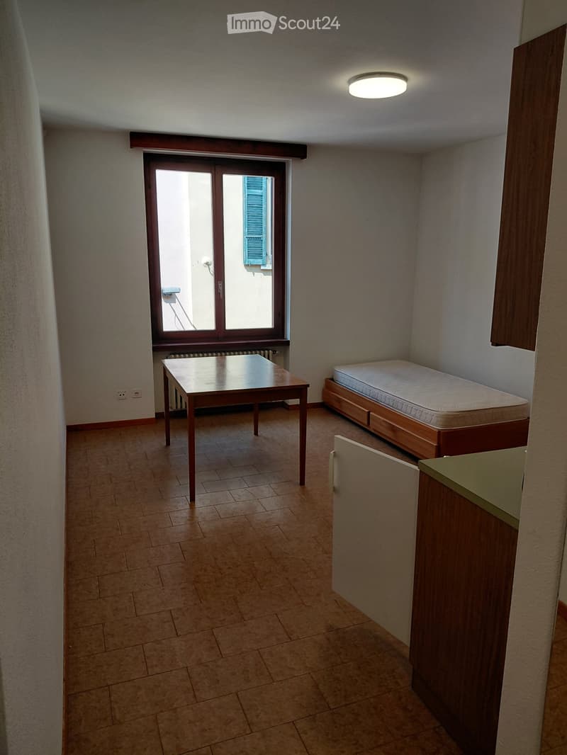 Appartamento nel Nucleo di Mendrisio (4)