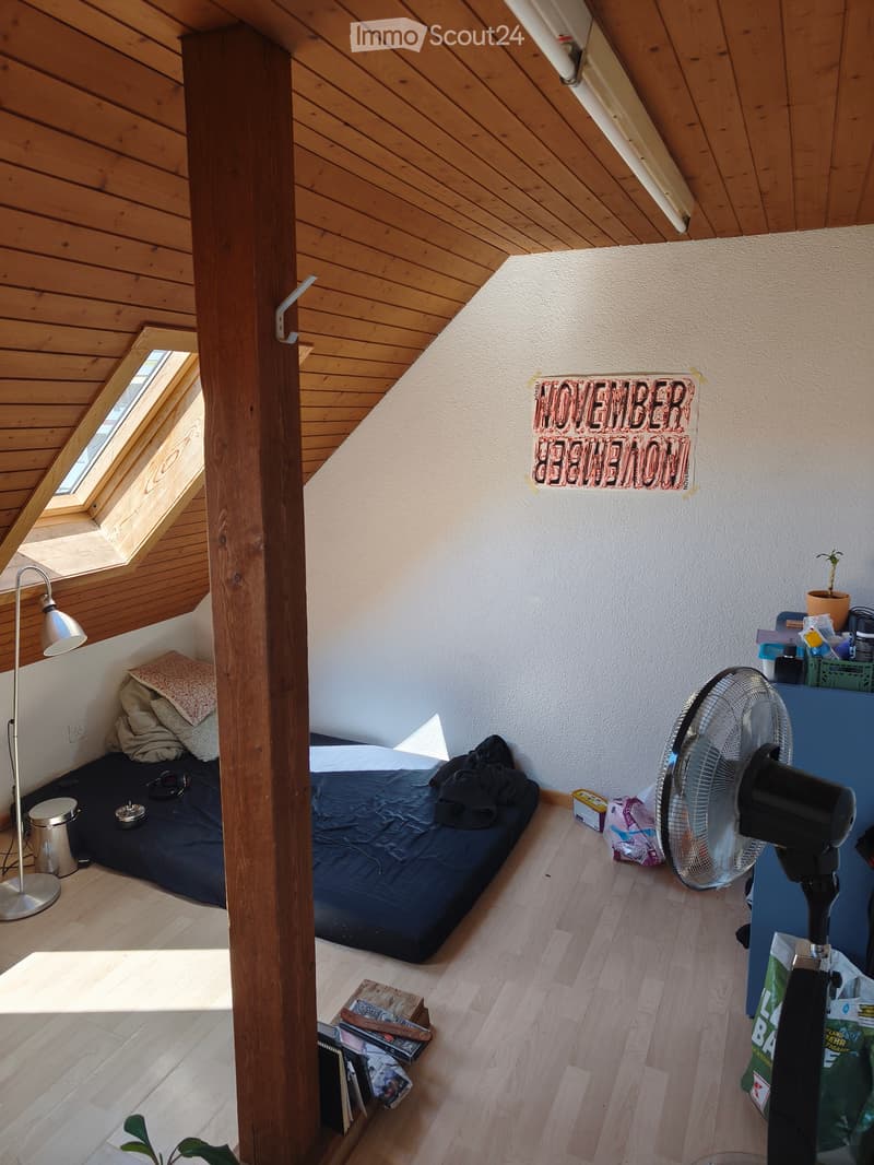 Mansarde/Chambre mansardée (2)