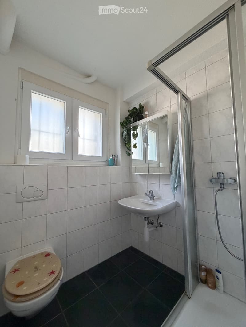 Wohnung in Visp zur Miete (3)