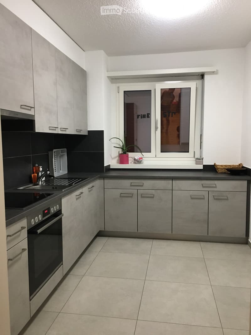 Recherche un sous-locataire pour un appartement de 3,5 pièces à Cadenazzo (1)