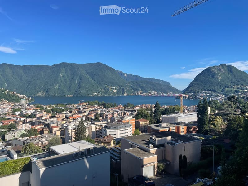 VISTA LAGO - Luminoso appartamento di 3.5 locali a Massagno (1)