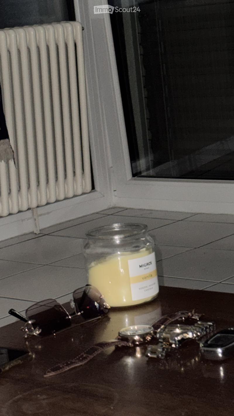 Ich suche einen Nachmieter für 2,5; ich lasse das ganze Haus möbliert zurück (3)