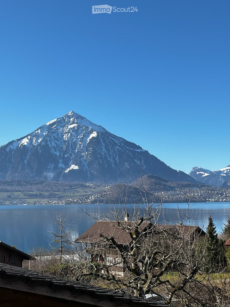 Gemütliche Dachwohnung, Sicht auf Thunersee und Berner Alpen (1)