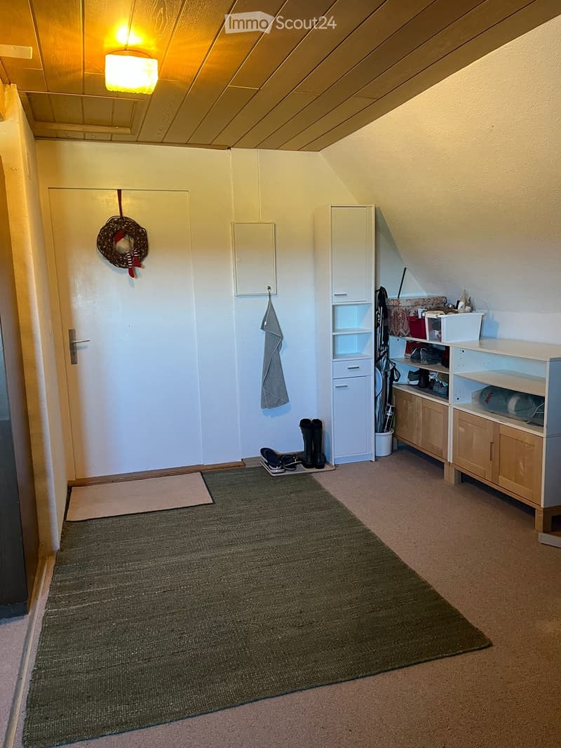 Grosszügige 2.5 Zimmer Dachwohnung auf dem Land (3)