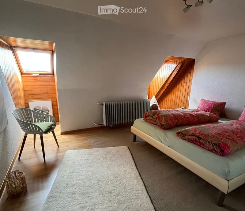 Grosszügige 2.5 Zimmer Dachwohnung auf dem Land (5)