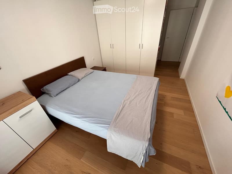 Subentro immediato 3.5 Mendrisio (3)