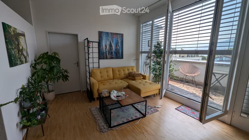 3.5 Zi Attikawohnung ab 1.10. - Blick auf Berge und Seen (3)