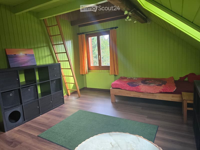 Colocataire dans un appartement partagé de 6 personnes, près de Thun (2)