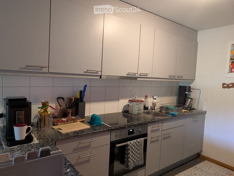 Furnished 2.5-room apartment - sublet Kreuzlingen Oct-Apr (2)