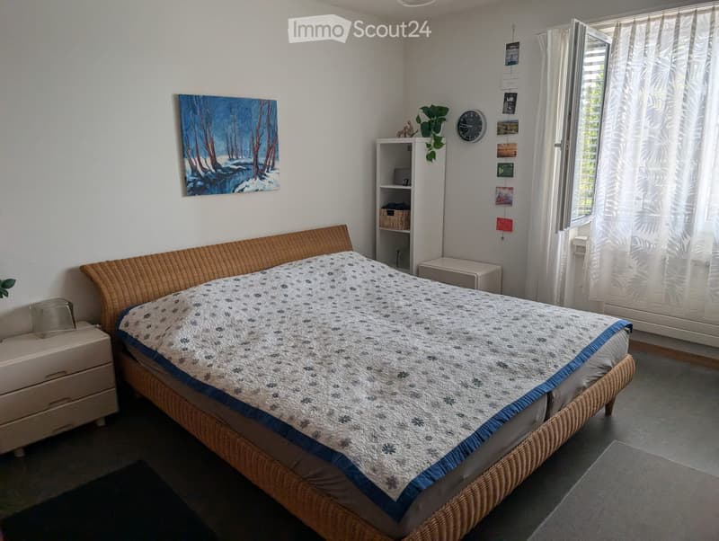 Furnished 2.5-room apartment - sublet Kreuzlingen Oct-Apr (3)