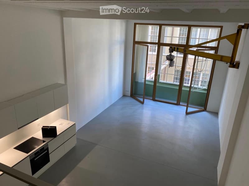 Loft-Wohnung im Industrial Stil mit vielen Extras (2)