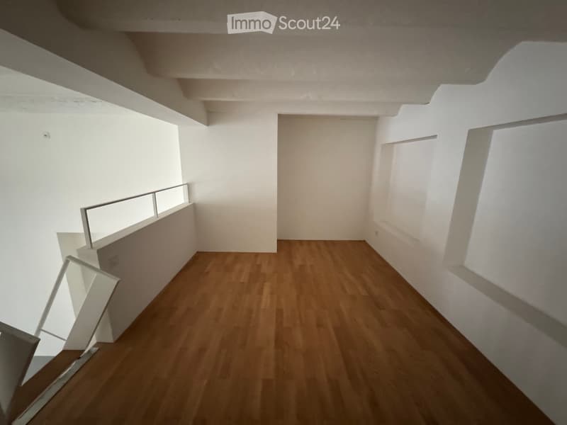 Loft-Wohnung im Industrial Stil mit vielen Extras (4)