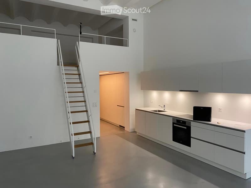 Loft-Wohnung im Industrial Stil mit vielen Extras (1)