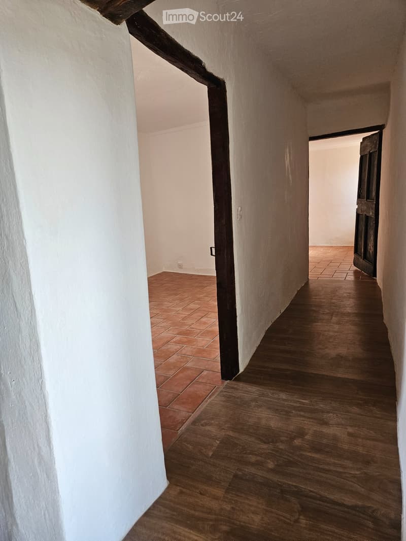 Neuer Preis: KERNHAUS 4.5 ZIMMER IN ARANNO (4)