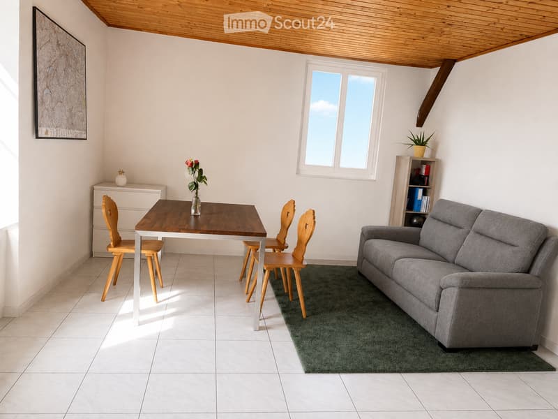2 1/2 Appartement (4)
