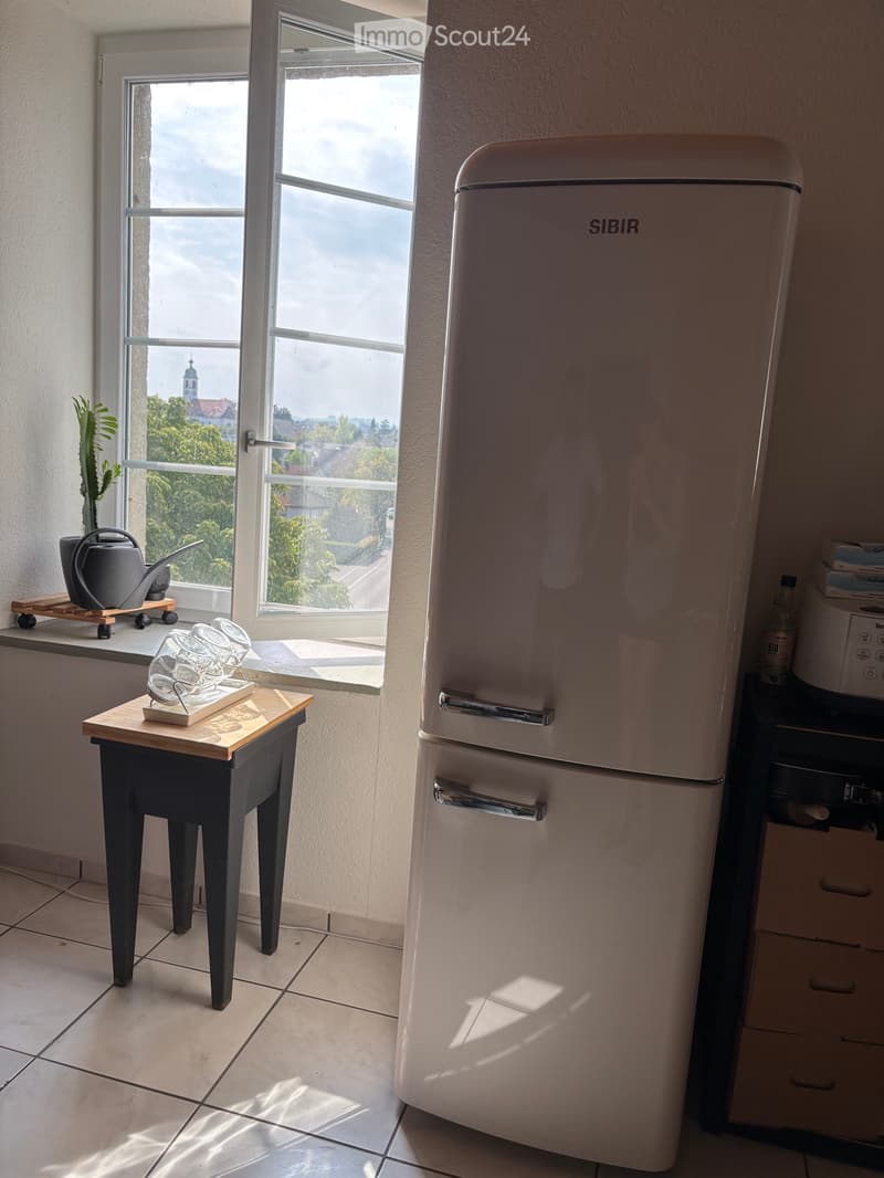 2 1/2 Appartement (3)