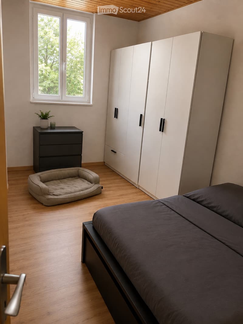 2 1/2 Appartement (5)