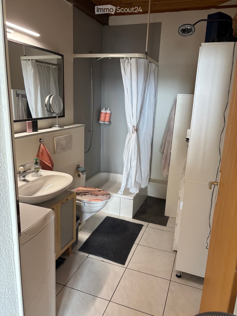 2 1/2 Appartement (2)