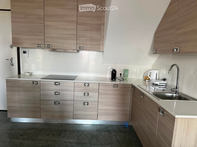 Sous-location Canobbio, Lugano (4)
