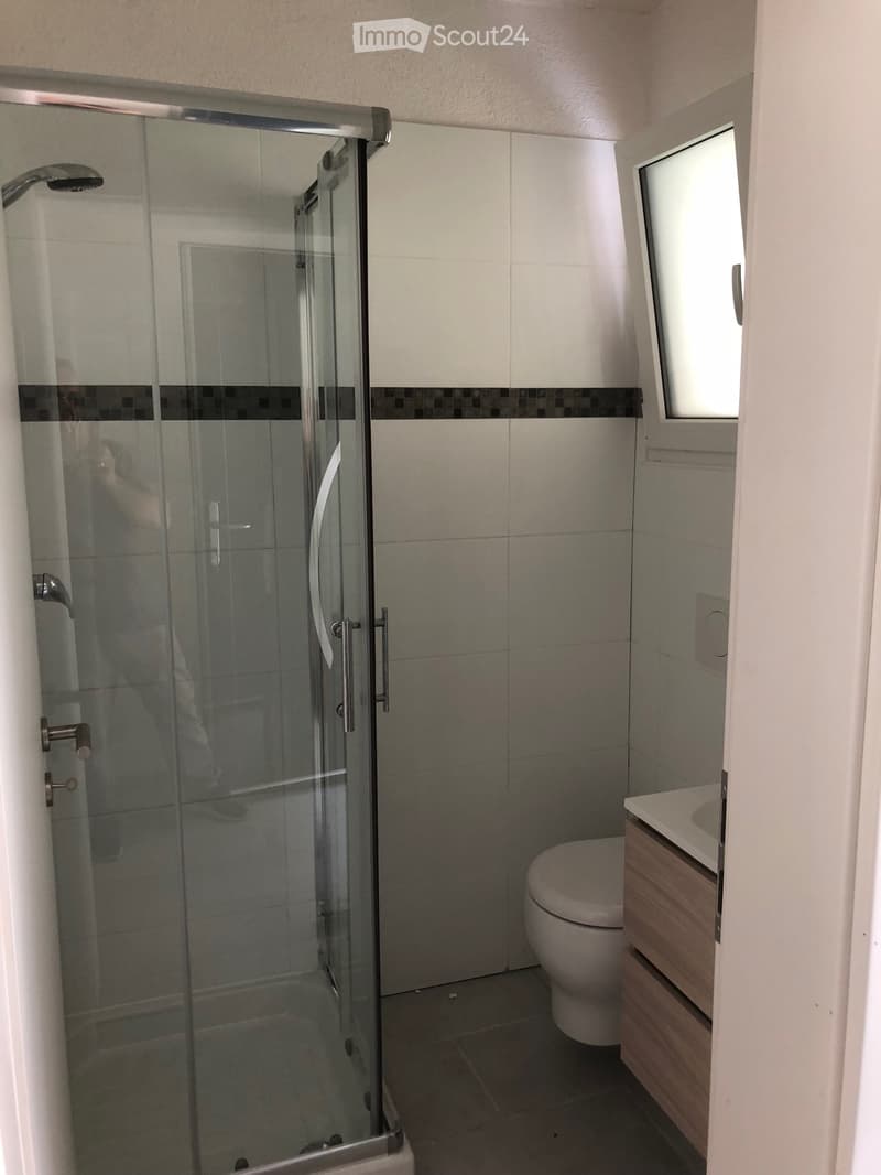 Casetta Bianca, Pollegio Biasca, Duplex 3.5 locali (4)